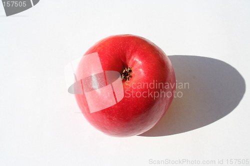 Image of Isolated apple