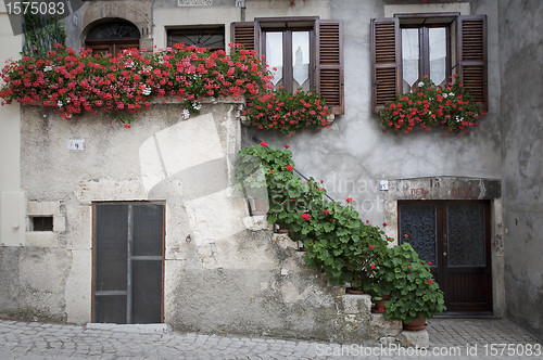 Image of Entrance with geranium