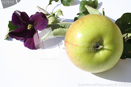 Image of Apple with clematis flower