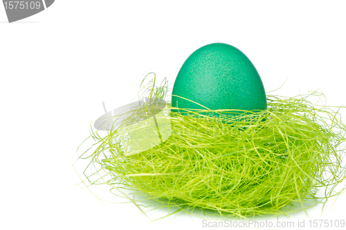 Image of easter egg in nest
