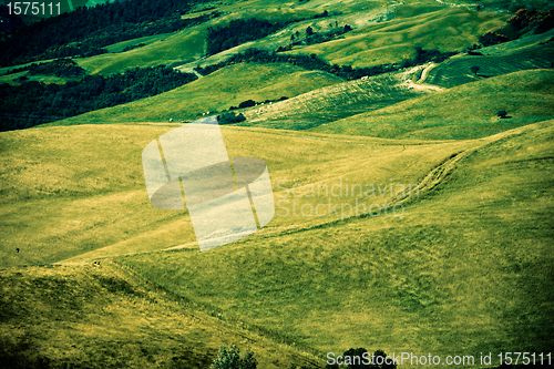 Image of Typical Tuscan landscape