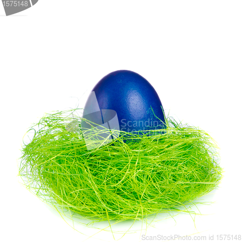 Image of easter egg in nest