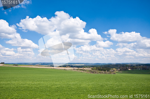 Image of green field