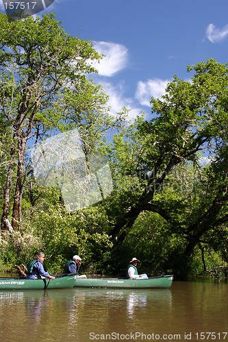 Image of Canoes on the Water