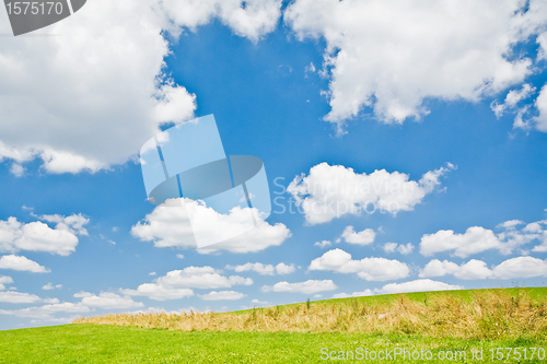 Image of agriculture landscape