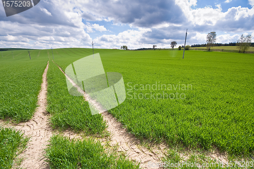 Image of green field