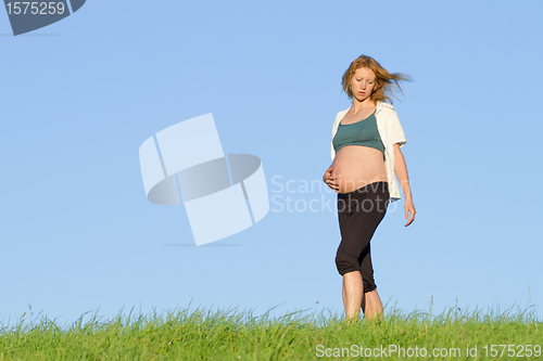 Image of pregnant woman on meadow