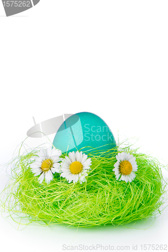 Image of easter egg in nest