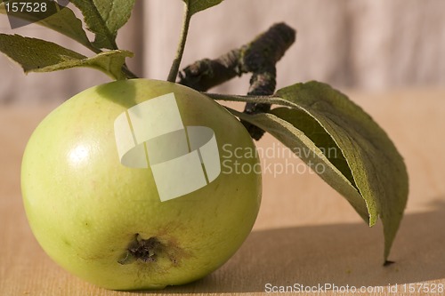 Image of Garden apple