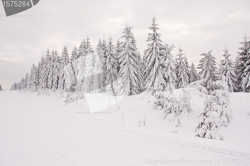 Image of fresh snow in the mountains