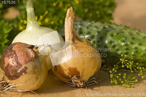 Image of Fresh vegetables X