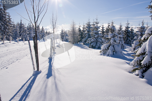 Image of fresh snow in the mountains