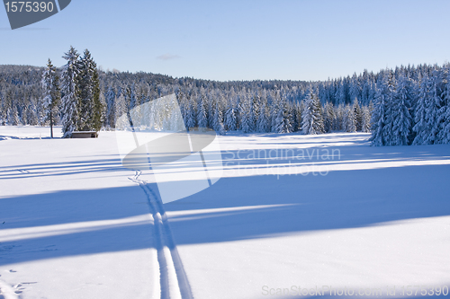 Image of fresh snow in the mountains