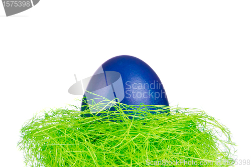 Image of easter egg in nest