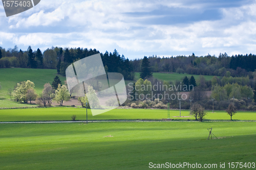 Image of green field