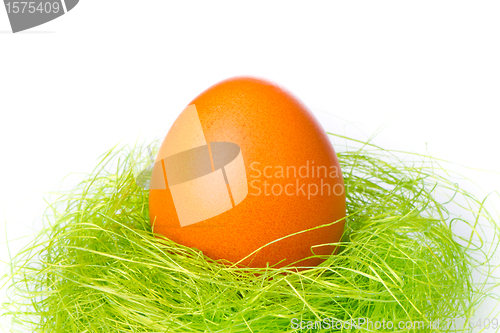 Image of easter egg in nest