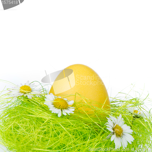 Image of easter egg in nest
