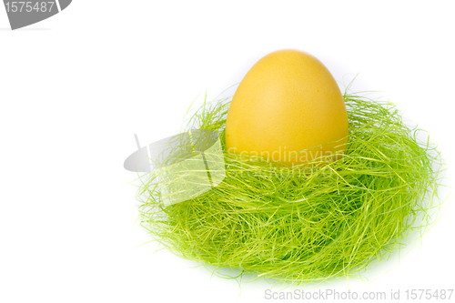Image of easter egg in nest