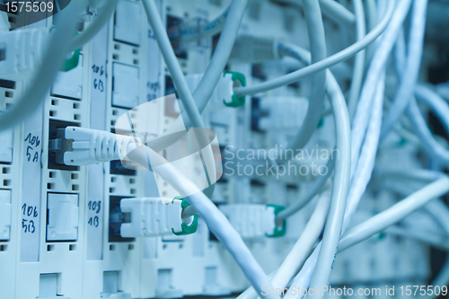 Image of ethernet cables