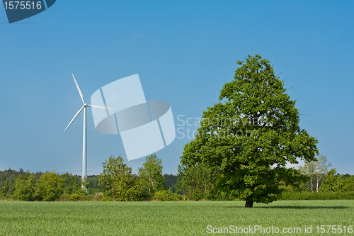 Image of windmill  farm