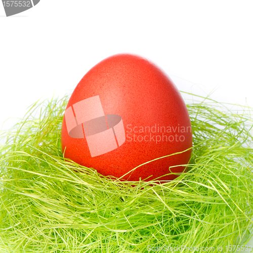 Image of easter egg in nest