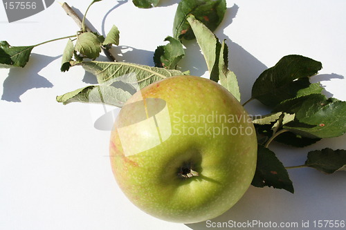 Image of Apple against white background