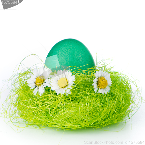 Image of easter egg in nest
