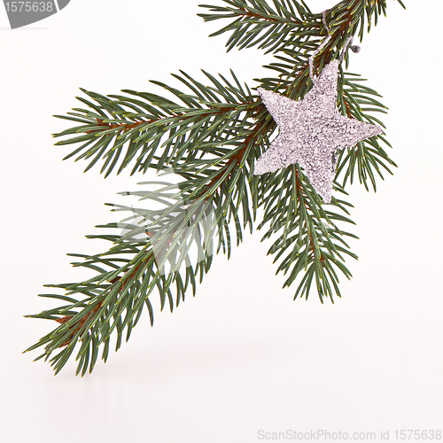Image of Christmas tree with star