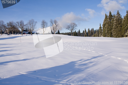 Image of fresh snow in the mountains