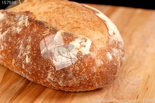 Image of Large Italian bread loaf