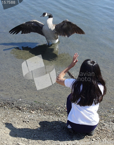 Image of A girl talking to a goose