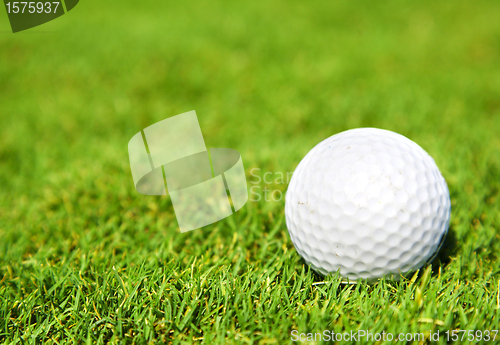 Image of Ball for a golf