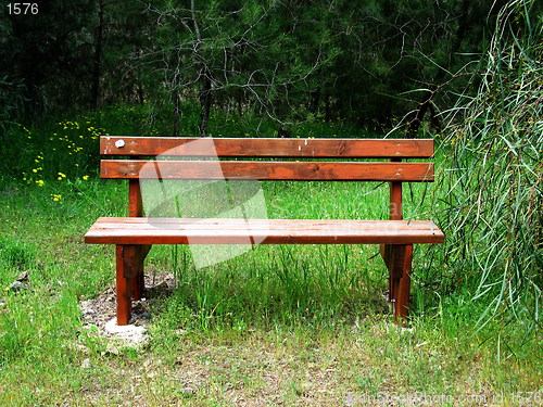 Image of Bench in nature. Xyliatou. Cyprus