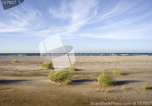 Image of Windy beach