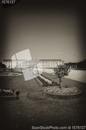 Image of Gardens and Flowers inside Schonbrunn Castle