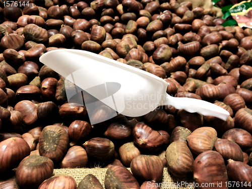 Image of Chestnuts in a Box, Italy