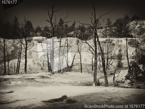 Image of Orange Spring Mound, Yellowstone