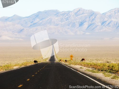 Image of Extraterrestrial Highway, Nevada