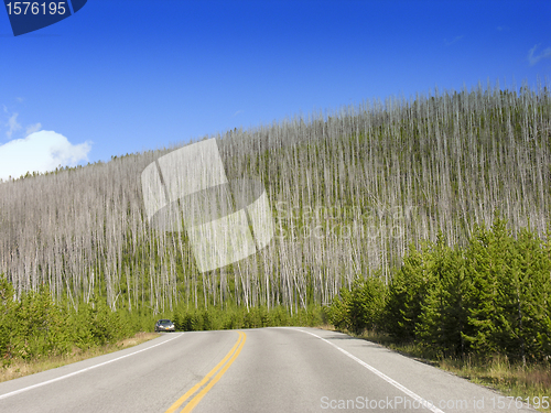 Image of Colors of Yellowstone