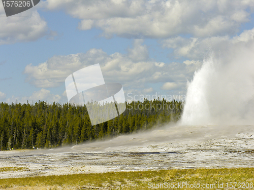 Image of Old Faithful, Yellowstone National Park