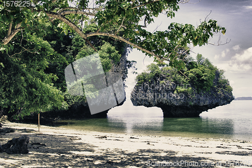 Image of Colors of Sea and Vegetation, Thailand