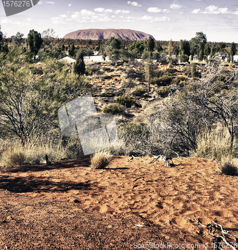 Image of Detail of Australian Outback