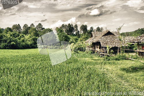 Image of Nature of Thailand