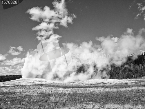 Image of Old Faithful, Yellowstone National Park