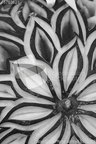 Image of Geometric Shapes of Fruit Composition