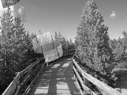 Image of Colors of Yellowstone