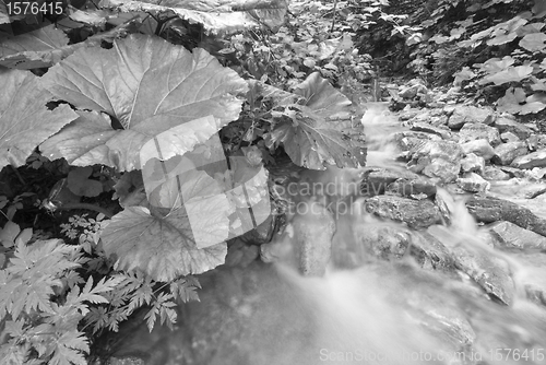 Image of Flowing Water, Dolomites