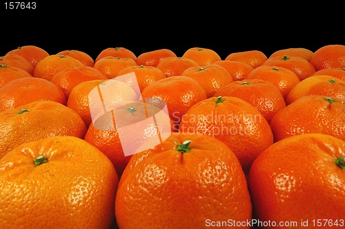 Image of Oranges