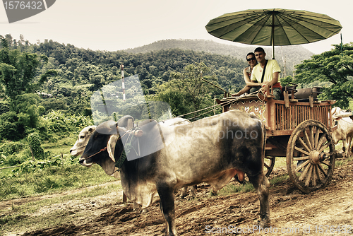 Image of Countryside of Thailand