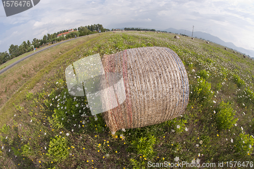 Image of Haybale, Tuscany